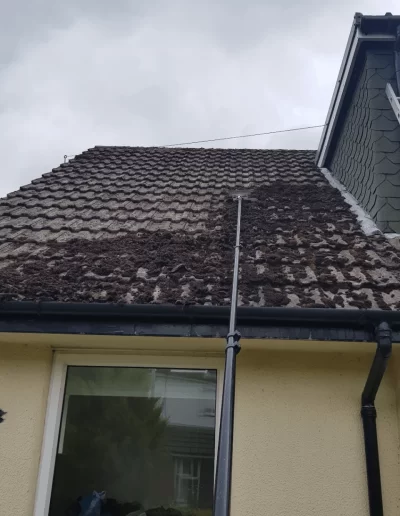 domestic roof cleaning